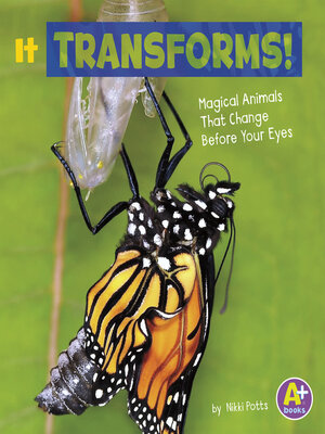 cover image of It Transforms!